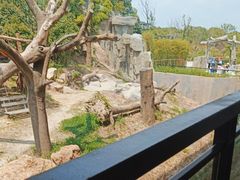 -宁波野生动物园