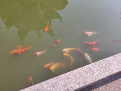 -檀园