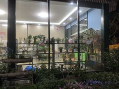 -新江湾城公园