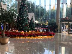 -成都世纪城假日酒店-西楼