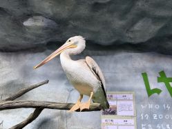 -Zoolung Zoolung动物主题公园(海信广场店)