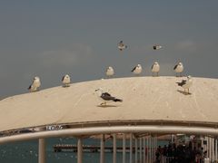 -海驴岛(荣成市)