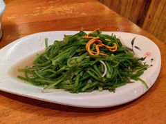清炒水性杨花-老滇山寨•云南特色菜•地方菜•民族风情歌舞表演(金碧店)