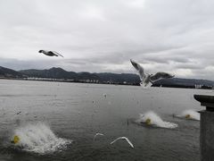 -海埂大坝