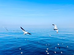 -大连海昌东方水城