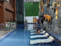 -兴芮温泉度假区