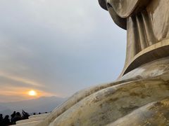 -中原大佛景区