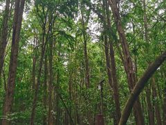 -同里国家湿地公园