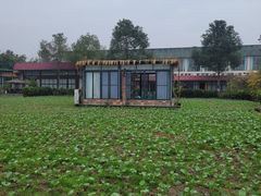 -洪湖家庭农场·团建·露营·会议