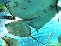 -福州罗源湾海洋世界旅游区