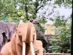 -南昌动物园