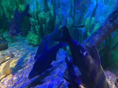 -沈阳海洋探索中心