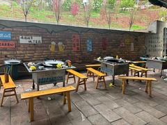 -桃源山庄·水蜜桃采摘·柴火鸡·烧烤团建(龙泉山店)