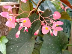 -兰陵国家农业公园