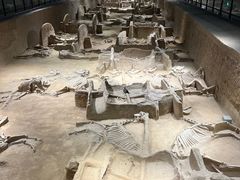 -洛阳周王城天子驾六博物馆