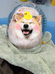 -重庆联合丽格美容医院