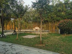 -三江森林温泉度假区