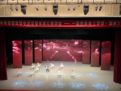 -中央芭蕾舞团·中芭艺蕾(酒仙桥明星校区)