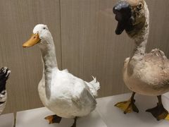 -中国农业博物馆