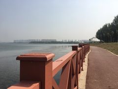 -丁香湖公园