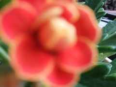 -玉林生活广场