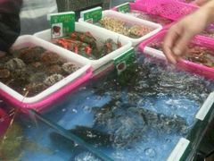-春园海鲜广场D区6号(钟姐海鲜加工店)