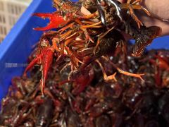-二钳洞庭虾蟹·江湖菜(成都鹭岛店)