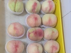 -老袁家蜜桃农场·阳山水蜜桃