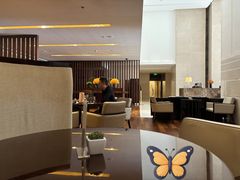 -The Lounge·大堂酒廊·北京粤财JW万豪酒店