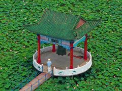 -济南大明湖景区