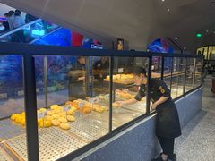 面包甜点陈列柜-LELECHA乐乐茶(上海五角场万达广场店)