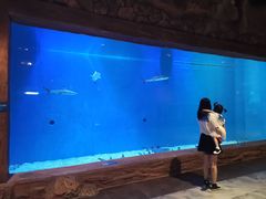 -西安华夏文旅水世界