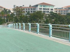 -万绿园
