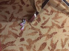 -上海新发展亚太JW万豪酒店
