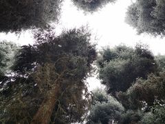 -九峰山