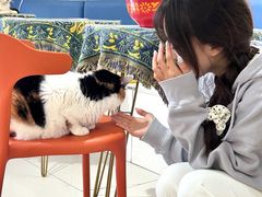 -平行世界·猫咖(首经贸店)