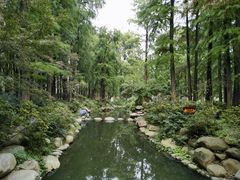 -上海共青森林公园