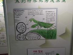 -上海昆虫博物馆