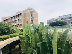 -厦门国家会计学院