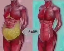 -香薇妮丝·定制减肥·身材管理
