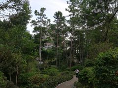 -仙岳公园
