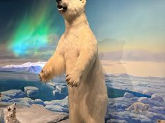 -陕西自然博物馆