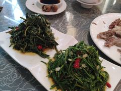 沙葱拼枸杞苗-老毛手抓(长城路店)