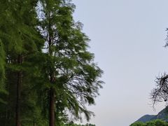 -长广溪湿地公园