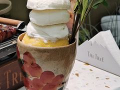 -大树餐厅(环球港店)