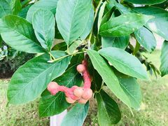 -北京天湖会议中心