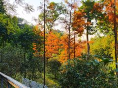 -云溪植物园