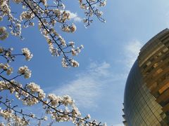 -星巴克(杭州市民中心店)