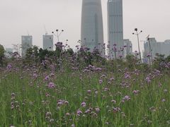 -深圳湾公园(南山区)