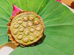 -叶叶菩提·晋福宫